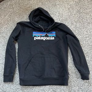 Patagonia Hooded Sweatshirt